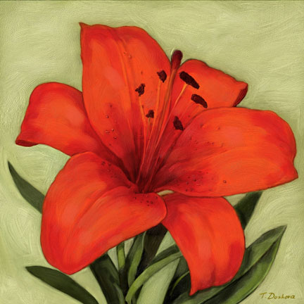 Tiger Lily